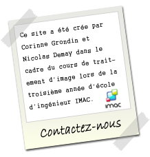 contactez-nous