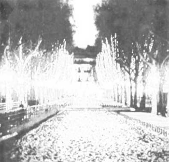image traitée